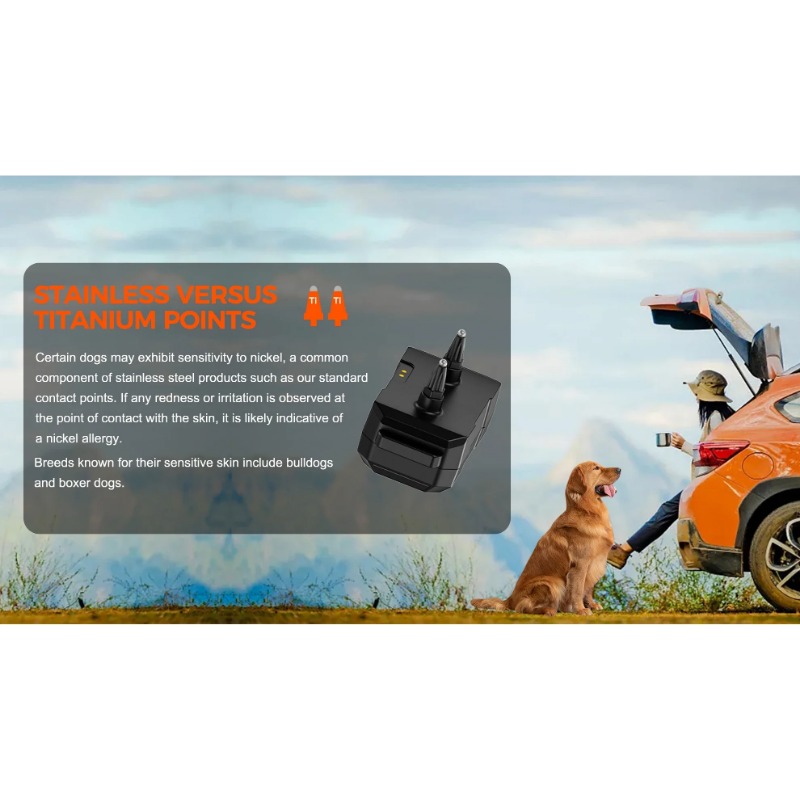 Sistem Pagar Listrik Anjing Ni - Outdoor Furniture Plus ulasan dan harga